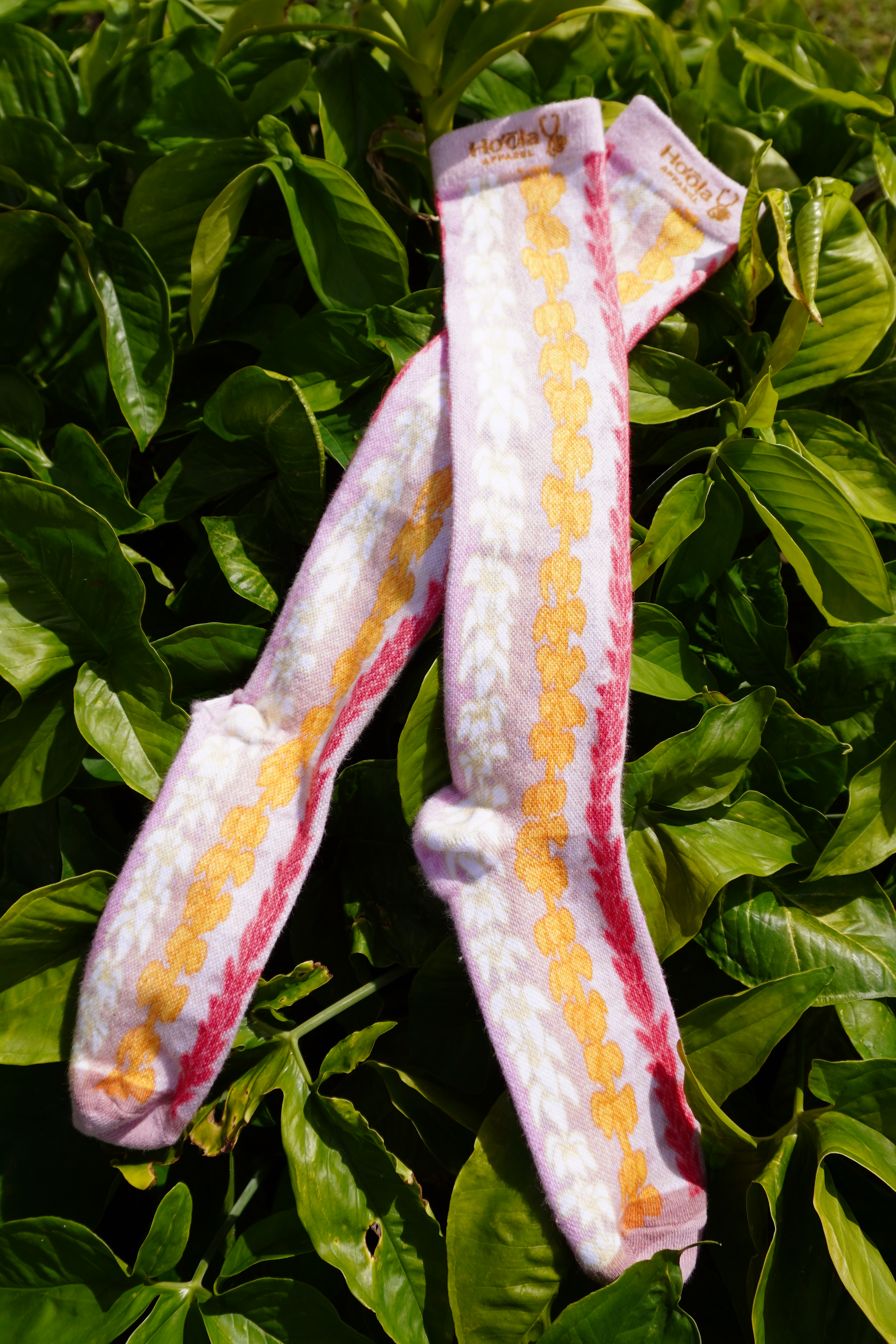 Pair of aloha print compression socks on green leafy background